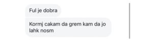 Mnenje zadovoljnega kupca: "Ful je dobra. Komi čakam da grem kam da jo lahk nosm." — ročno izdelana torbica Mimibags